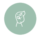 icon1