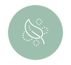 icon2
